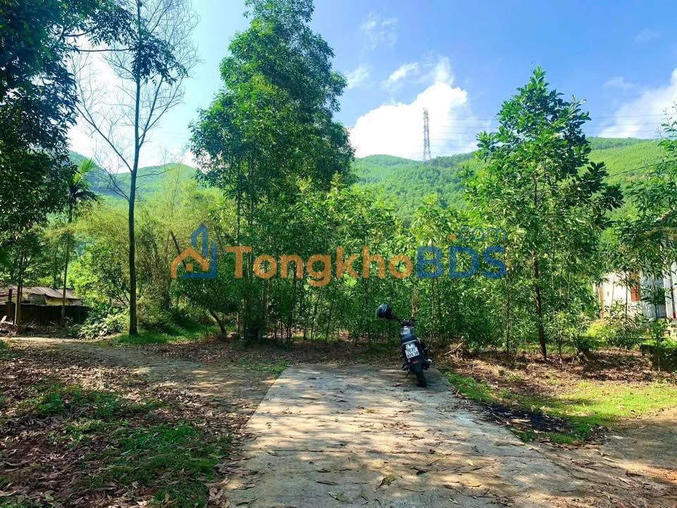 Đất nền 1859m² Phong Điền Huế - Hai mặt tiền, view núi rừng, tiềm năng homestay