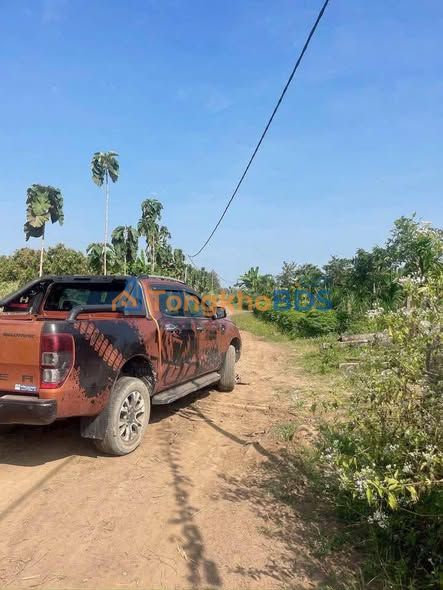 Bán Đất 50000m² Mặt Tiền Đường Gia Canh, Đồng Nai - Giá 15 Tỷ