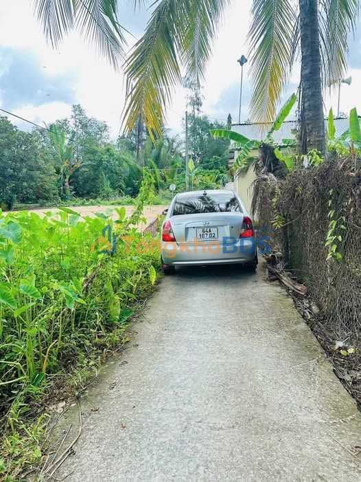 Đất Vườn Vĩnh Long 300m² Giá Chỉ 219 Triệu - Sổ Hồng Sẵn Sàng