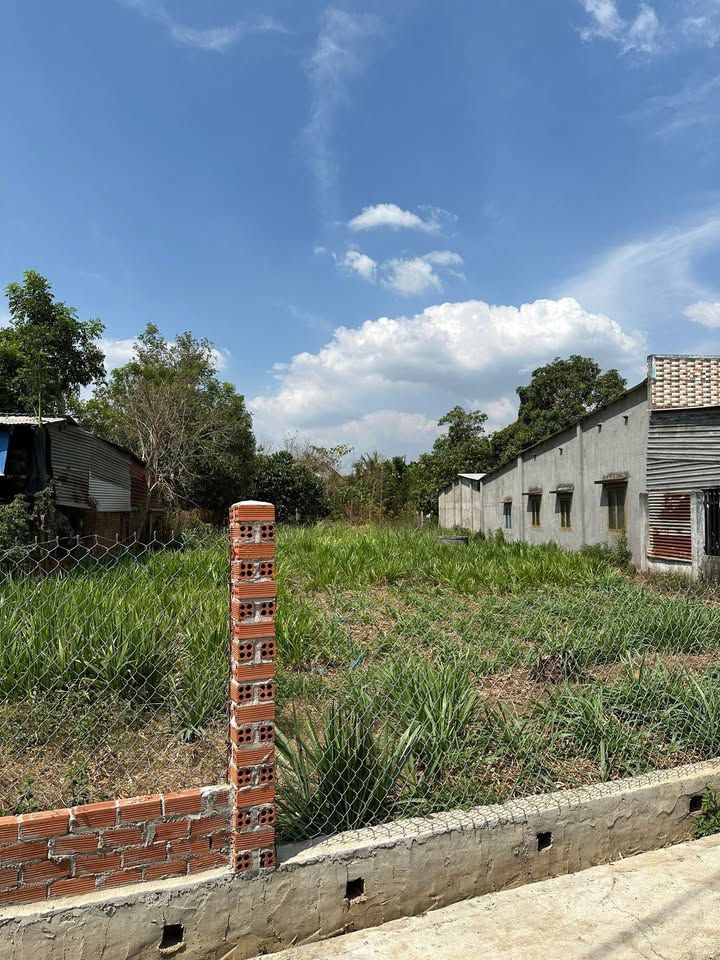 Đất nền Cẩm Mỹ 843m² Sổ Đỏ - Giá Đầu Tư Cực Tốt