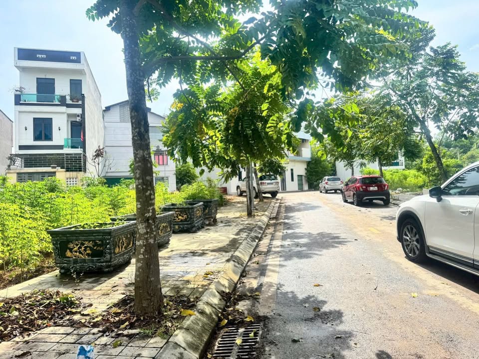 Đất nền KDT Lạc Ngàn - Vũ Thê Lang, 80m² hướng Đông Bắc - Giá 4 tỷ