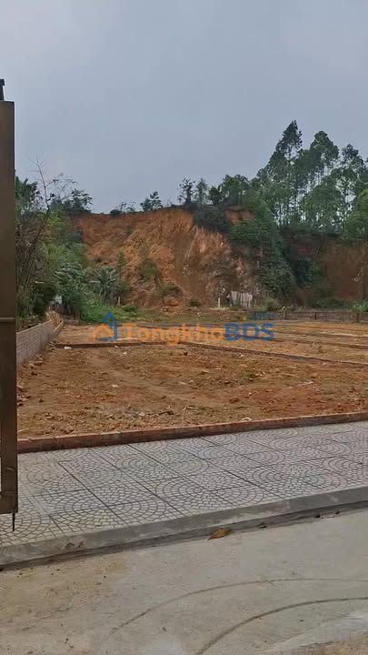 Đất Full Thổ Cư 160m² Văn Bán, Cẩm Khê - Sổ Đỏ Sẵn Sàng