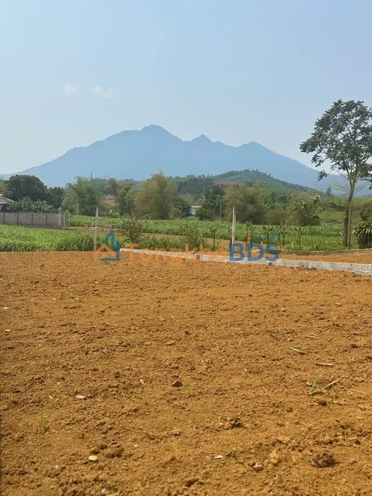 Bán Đất Yên Bài Ba Vì 262m² View Đồng Đồi - Giá Tốt Đầu Tư