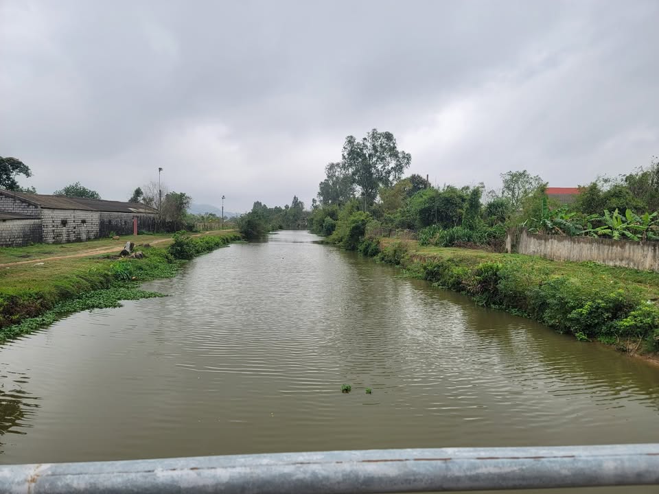 Cho thuê đất 490m² mặt đường làng, Xã Phú Lộc, Hậu Lộc - Sẵn sàng kinh doanh