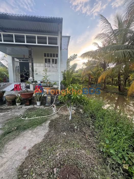 Đất vườn P4 Vĩnh Long 1.920m² 2,88 tỷ - Sinh thái xanh