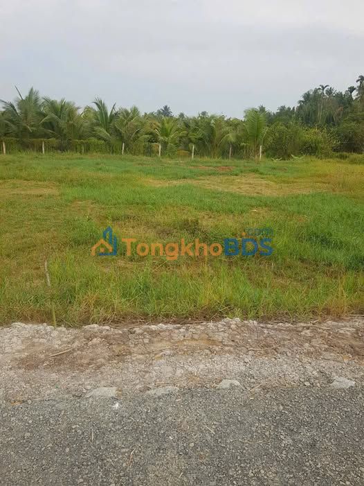 Đất Thổ Cư 120m² Hòa Tịnh, Vĩnh Long - Sổ Hồng Sẵn Sàng An Cư