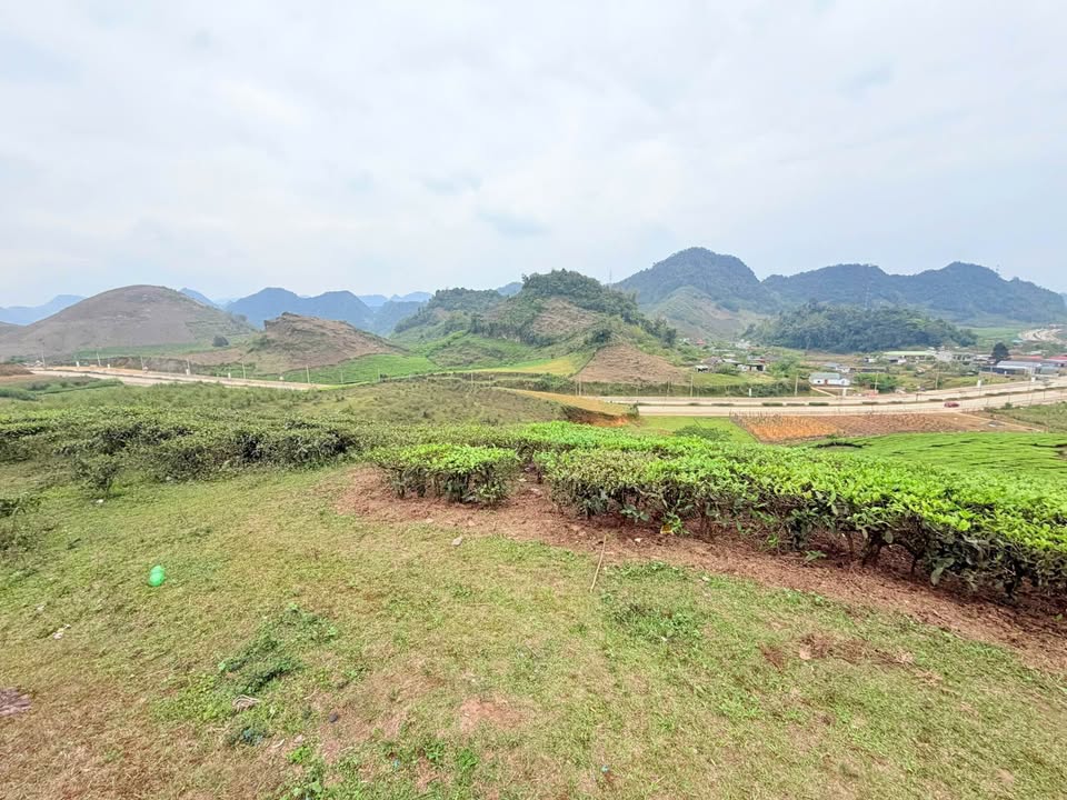 Đất Nền Mộc Châu 1ha Giá Dưới 1 Tỷ - Sẵn Thổ Cư, View Đẹp