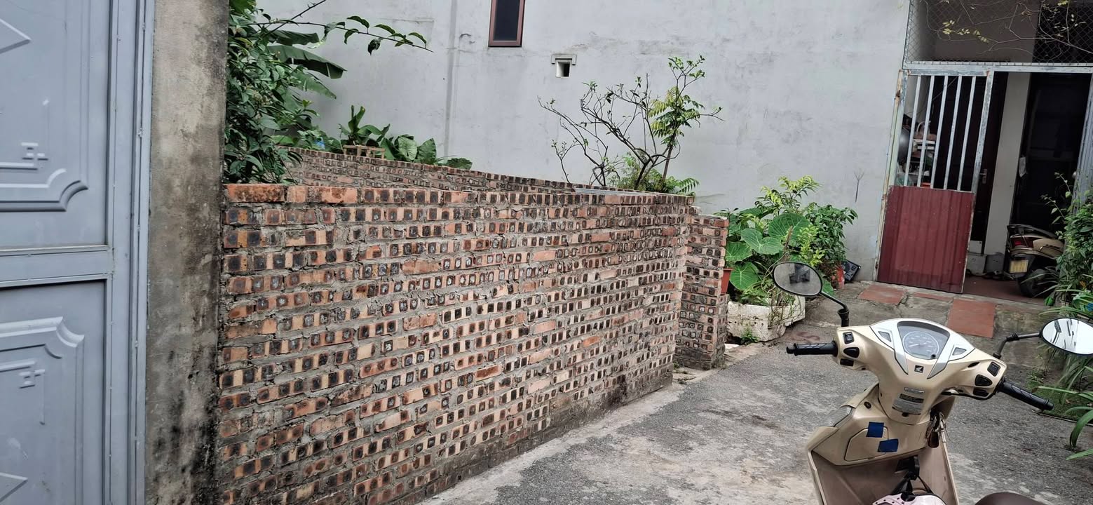 Đất nền Thành Trung, Gia Lâm 56m² - Sổ đỏ chính chủ, tiềm năng kinh doanh