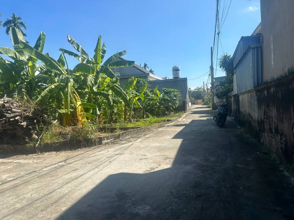 Bán Đất 60m² An Thái, An Lão, Hải Phòng - Ngõ Thông 1.25 Tỷ