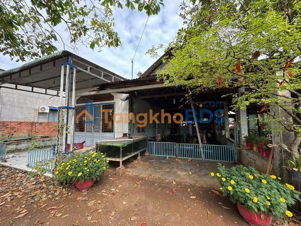 Bán Gấp Đất Vườn 58m² Bình Phước - 2.6 Tỷ, Sẵn Sầu Riêng & Cà Phê