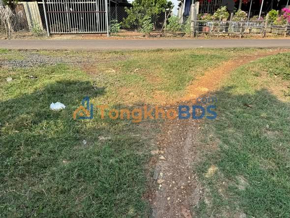 Bán gấp 2.49ha Đất Vườn Bình Phước - Ôm Suối, Cây Cao Su Đang Khai Thác