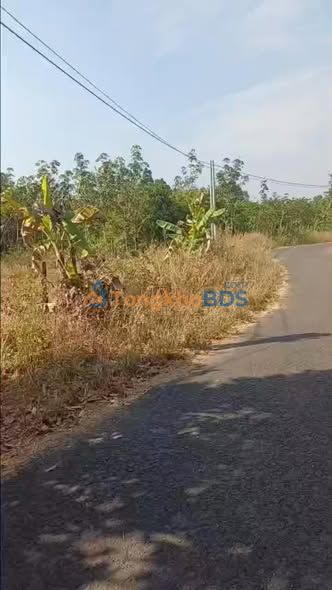 Đất Vĩnh Cửu 1060m² Mặt Tiền Nhựa - Giá 350 Triệu