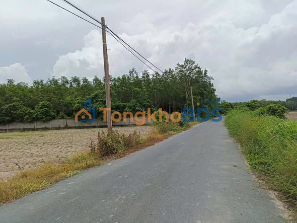 Đất nền An Nhơn Tây Củ Chi 7.835m² giá thỏa thuận - Đường to ô tô