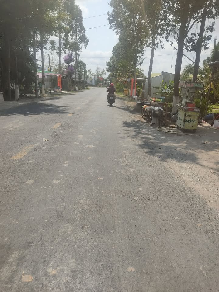 Bán Gấp Đất Vườn 209m² Mặt Tiền Lộ Bốn Tổng, Hậu Giang - Giá 900 Triệu