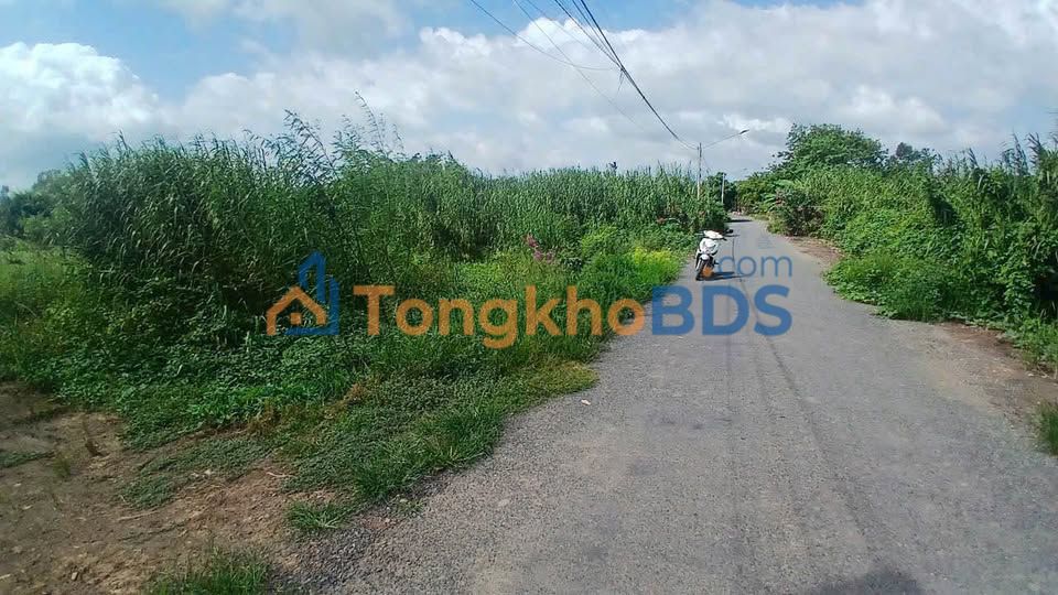 Đất nền Nguyễn Văn Sớm Mỹ Phú 4 tỷ - Tiềm năng tăng giá