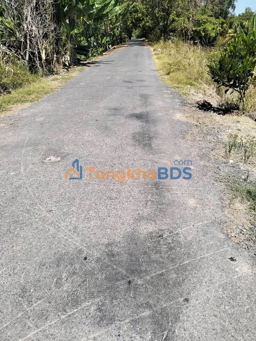 Đất nền Tân Kiều Đồng Tháp 250m² 400 triệu - Sổ đỏ chính chủ