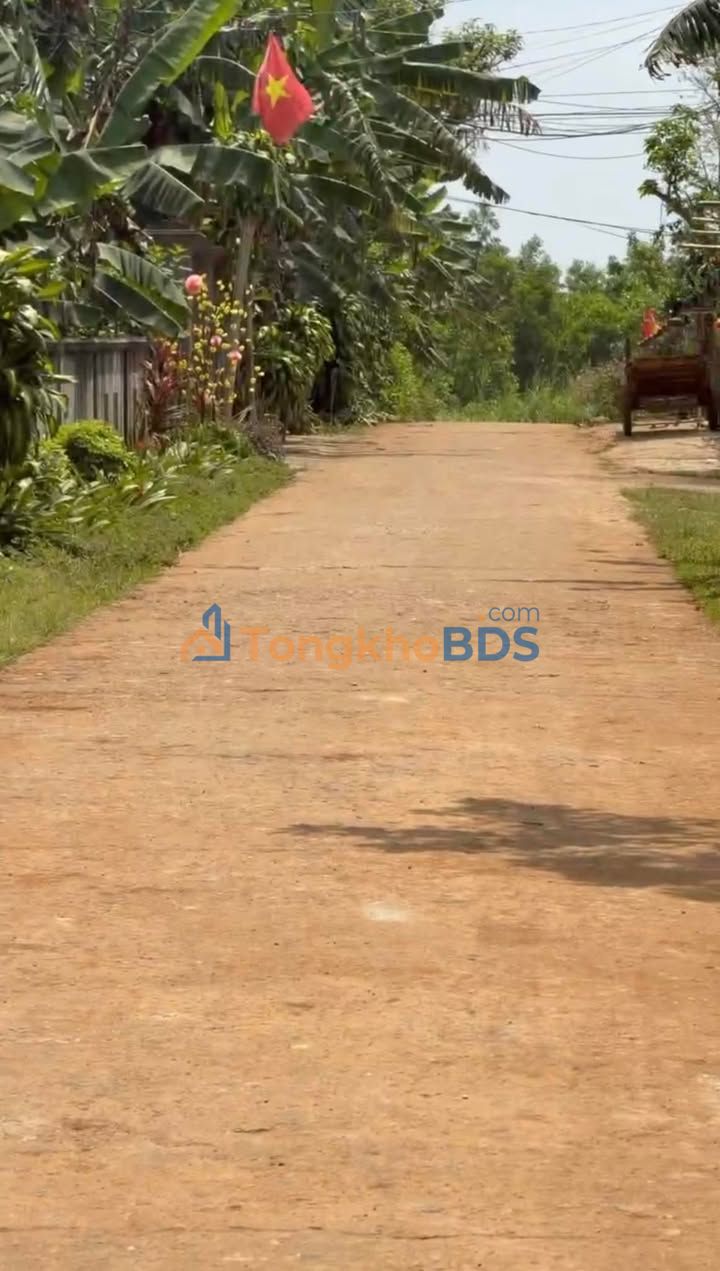 Bán Đất Vàng 80m² Xã Cồn Tiên, Triệu Phong - Sổ Đỏ Thổ Cư, Giá 4 Tỷ