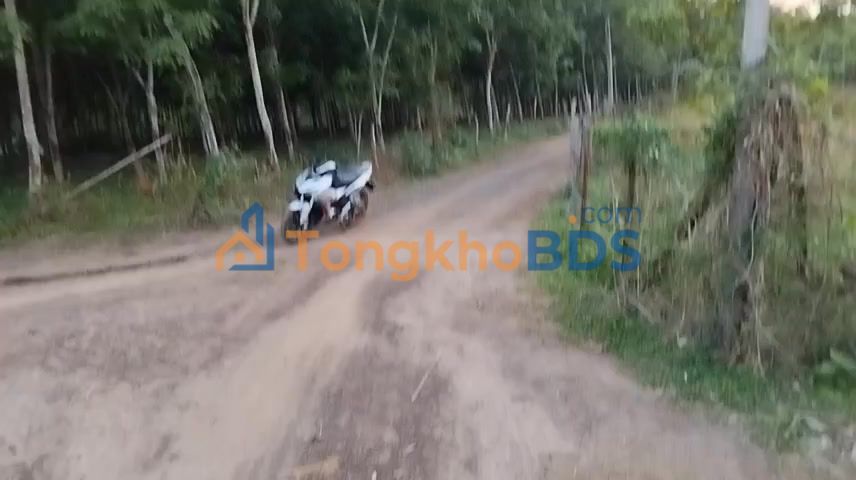 Bán Đất 188m² Đồng Nai - Sổ Hồng Sẵn Sàng - Giá 1.5 Tỷ