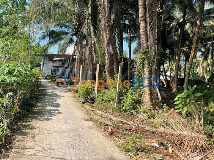 Đất nền Phường 1 Cao Lãnh 8x92m view sông - Tiềm năng tăng giá