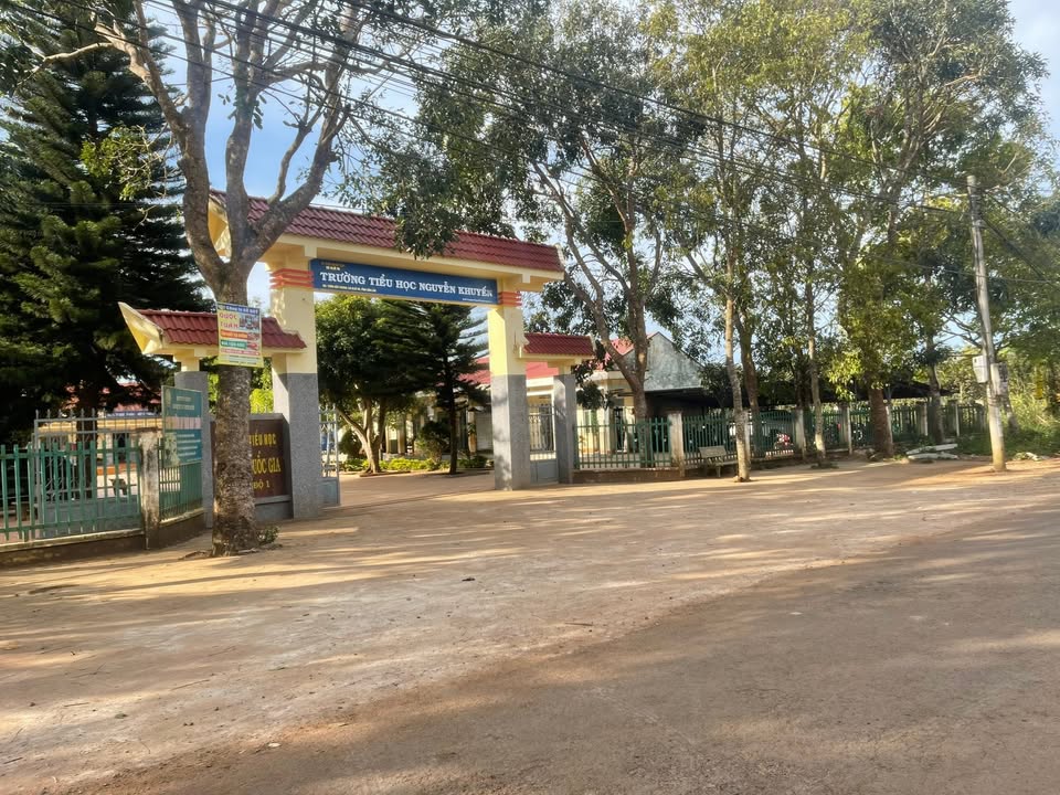 Đất Nền Krông Năng 75m² Mặt Đường Nhựa - Sổ Hồng Thổ Cư