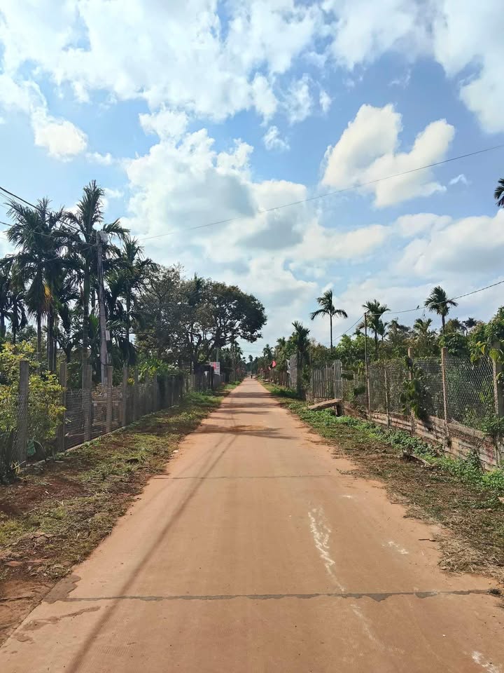 Đất Nền Lộc Dũng KRông Năng 204m² - Sổ Hồng Thổ Cư 60m² - Giá 540 Triệu