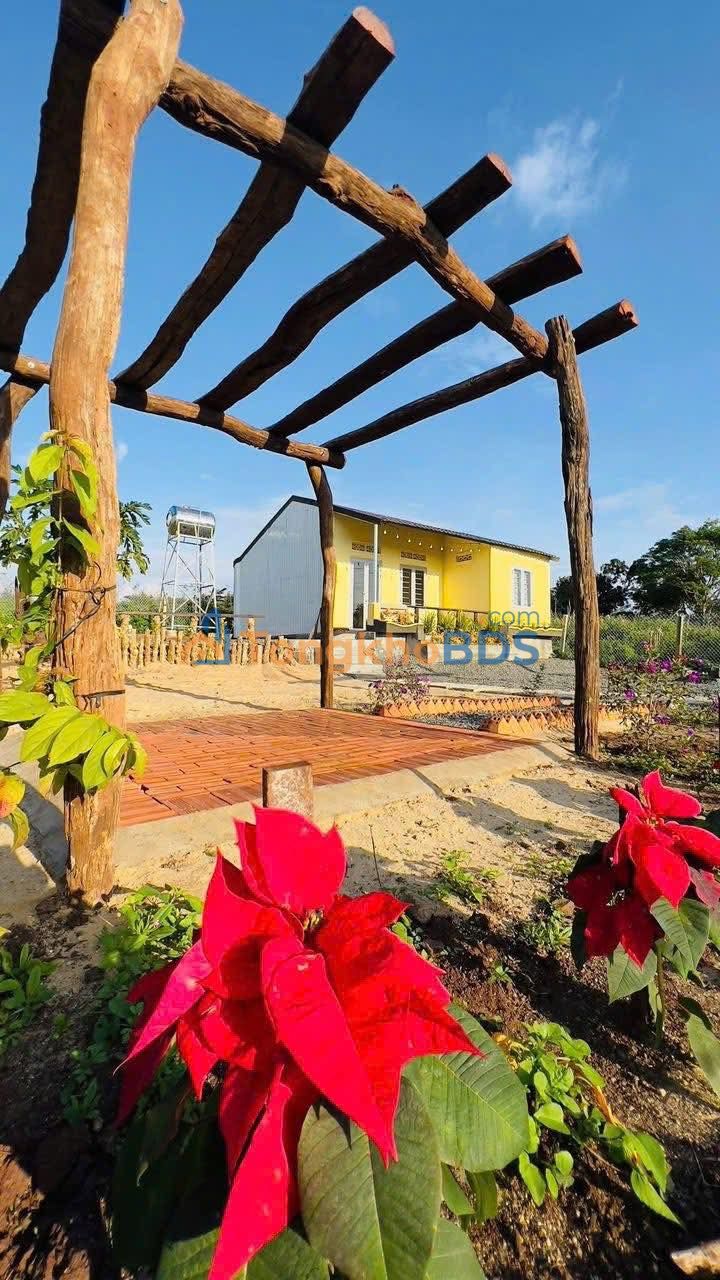 Bán Gấp Nhà Vườn 340m² Thôn 5 Krông Năng - Sổ Đỏ Chính Chủ