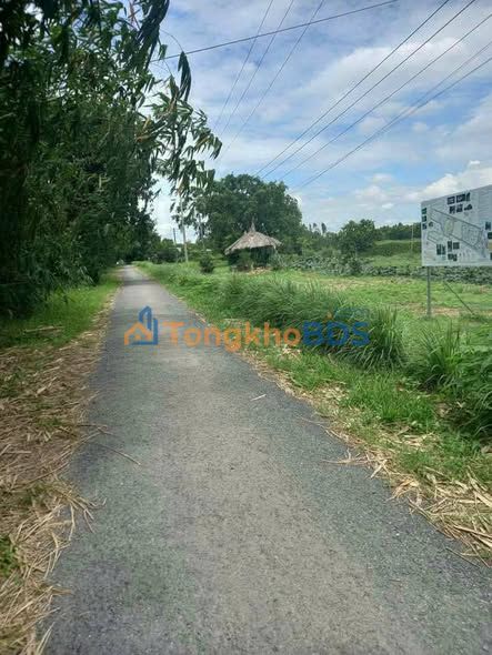 Đất Nền Lấp Vò Đồng Tháp 250m² - Sổ Hồng Sẵn Sàng