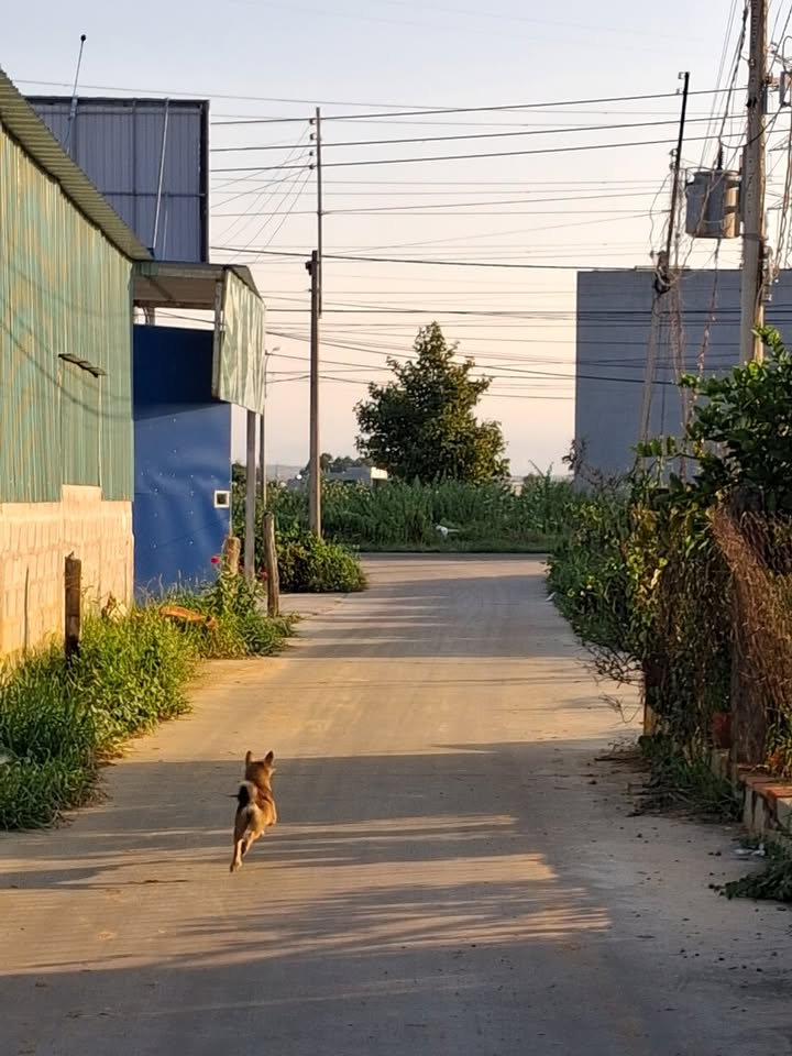 Bán Đất Mặt Tiền Lê Duẩn Nối Dài 7200m² - Giá 3 Tỷ Tại Hàm Thuận Bắc