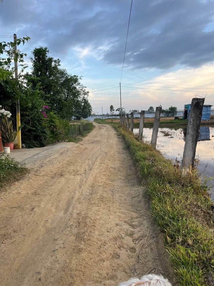 Đất Vườn Hàm Thuận Bắc 650m² Sổ Riêng - Giá Đầu Tư 650 Triệu