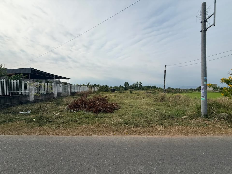 Đất Vàng Mặt Tiền Âu Cơ, La Gi - 3924m² QH TMDV, Giá Đầu Tư