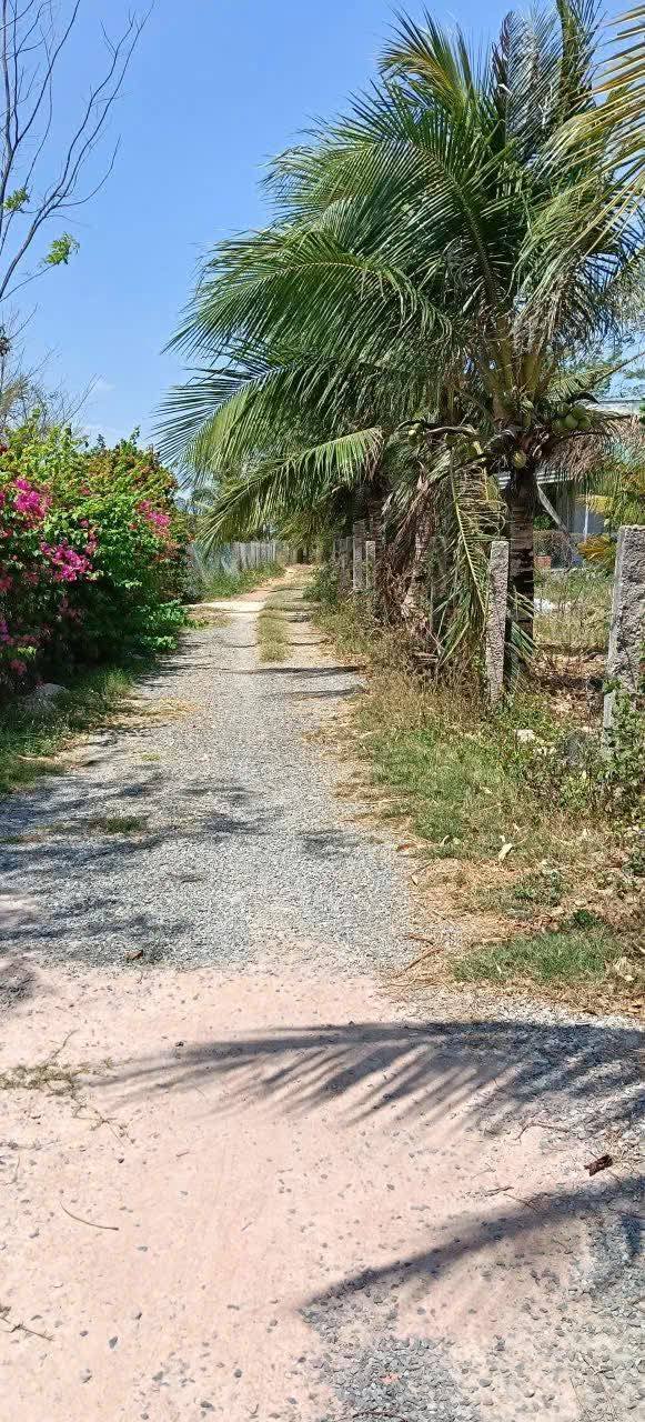 Đất nền 2000m² An Phú, Phan Thiết - Sổ đỏ thổ cư, Giá 1.5 tỷ