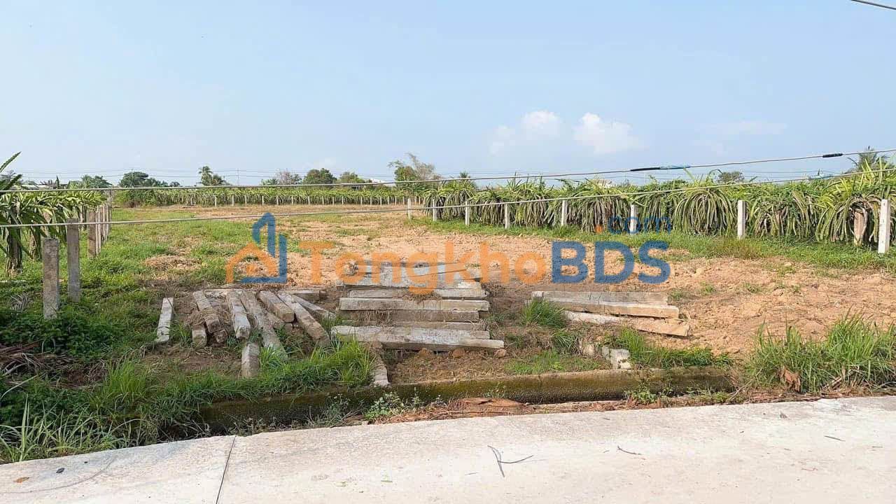 Đất Vườn 2598m² Sổ Hồng Tại Hàm Thuận Bắc - Giá Tốt Đầu Tư