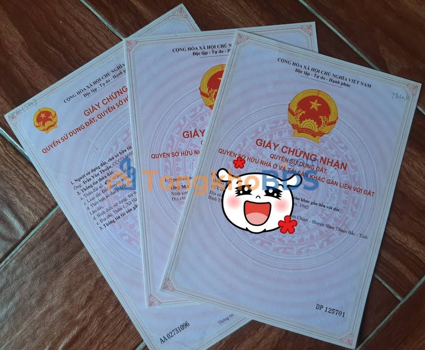 Bình Thuận: 3 Nền Mặt Tiền 150m² Giá Ngộp 1.5 Tỷ - Sổ Đỏ Sẵn Sàng