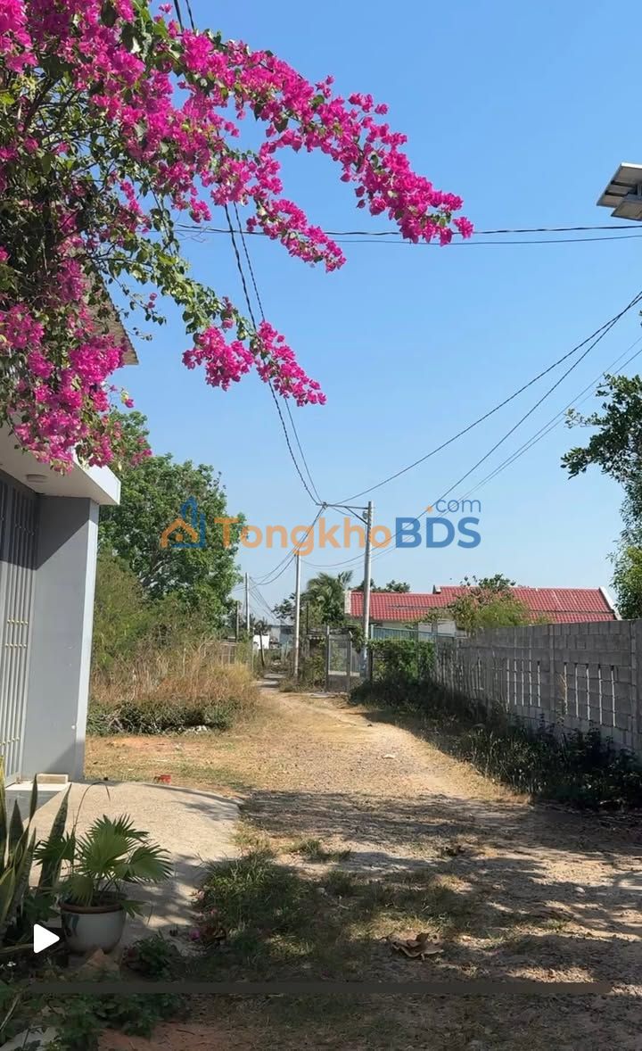 Đất Nền Xuân Phú Phan Thiết 300m² - Sổ Riêng, Hướng Đông - Giá Tốt