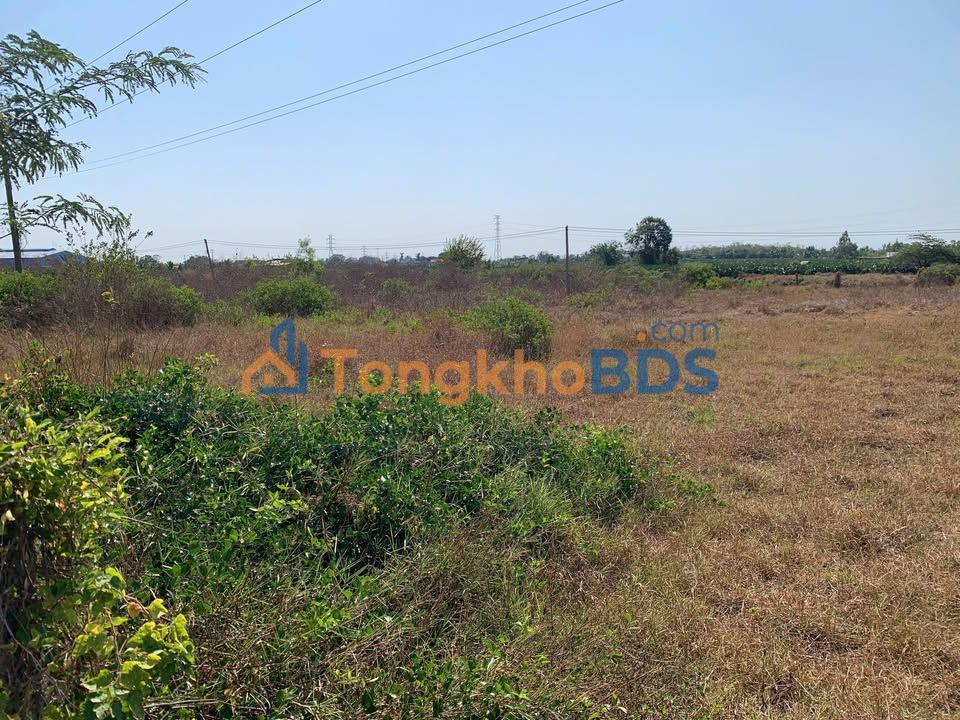 Bán Gấp Đất Nền 6000m² Xã Mương Mán, Bình Thuận - Mặt Tiền Rộng, Đường Oto