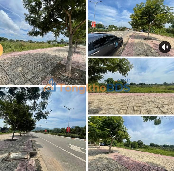 Đất Nền Hàm Tân 250m² - Mặt Tiền Đại Lộ Đông Tây, Sổ Đỏ ODT