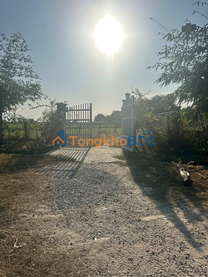 Chuyển nhượng Trang trại 1.1ha La Gi, Bình Thuận - Vườn trái cây & Nuôi gà, giá 4 tỷ