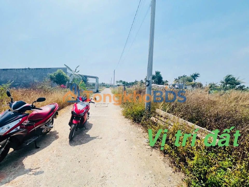 Đất Nền Tiến Lợi - Phan Thiết 100m² Giá Chỉ 220 Triệu - Sổ Chung Vi Bằng