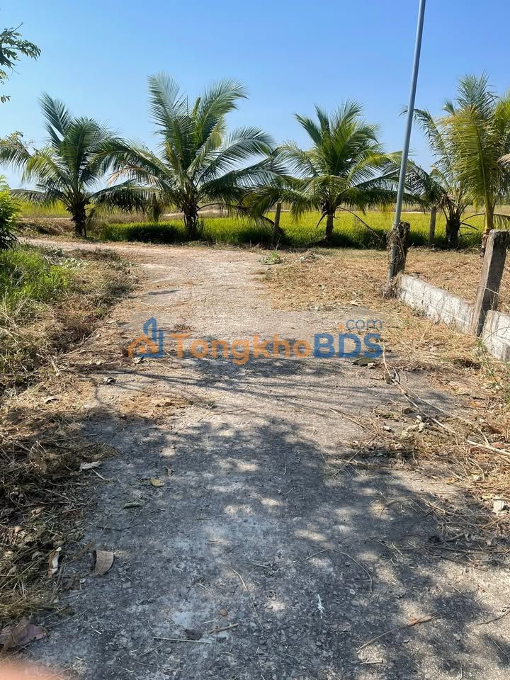 Đất Vườn 4300m² Hàm Thuận Bắc - Sổ Hồng Riêng, Giá Đầu Tư 96 Tỷ