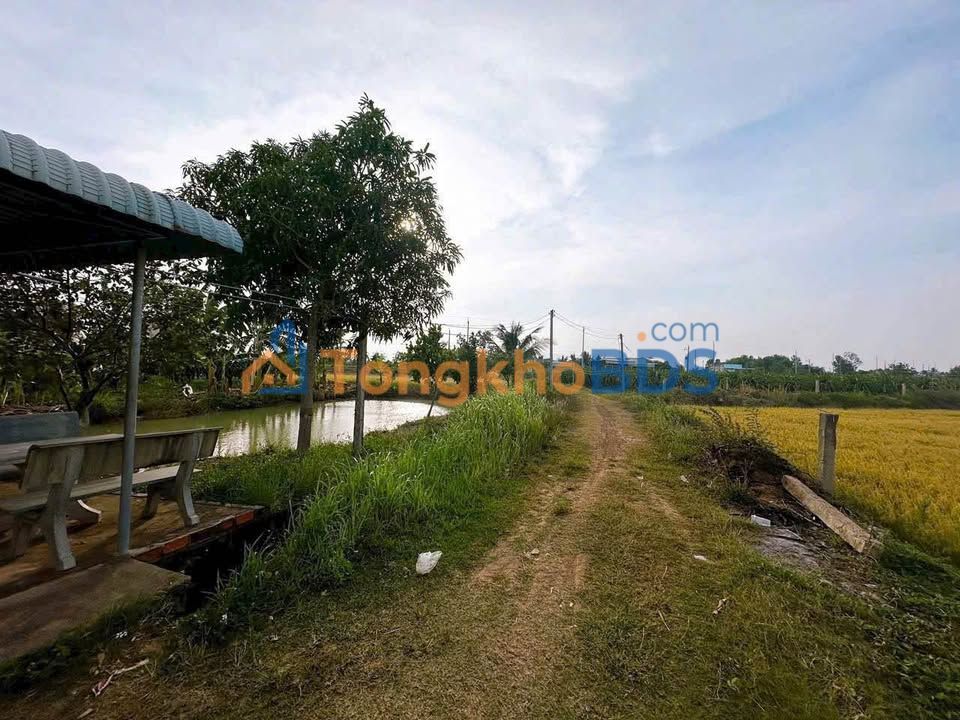 Bán Đất Vườn Hàm Thuận Bắc 1339m² Sổ Đỏ - Đường Xe Hơi Tận Đất