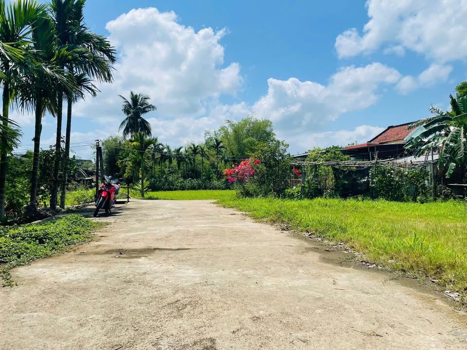 Đất Vườn Điện Bàn 420m² - Sổ Hồng Sẵn Sàng - Giá 3 Triệu/m²