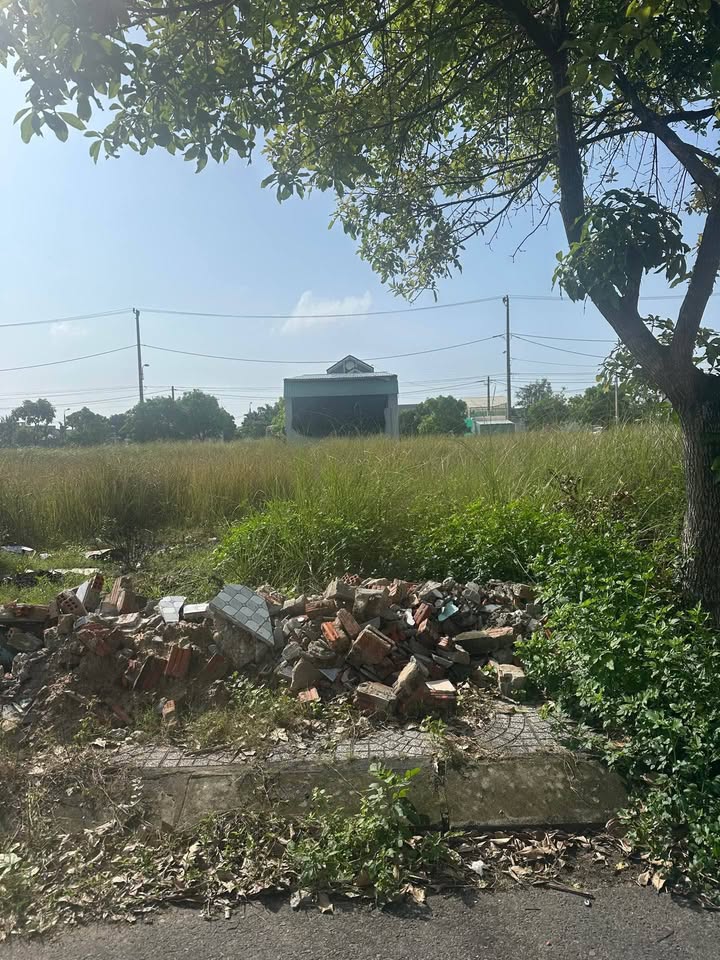 Đất Vàng Điện Nam Bắc 115m² - Ngay Chợ, Kinh Doanh Đỉnh Cao