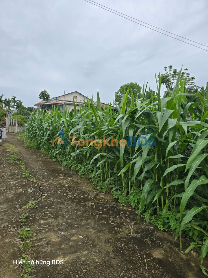 Đất Nền Điện Tiến 105m² - Giá Chỉ Từ 3xx Triệu/Lô