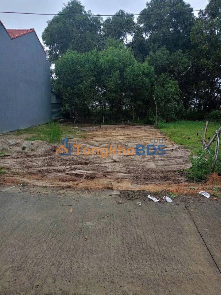 Đất Nền Điện Nam Đông - 100m² Hướng Đông, Giá 1 Tỷ - Cơ Hội Đầu Tư