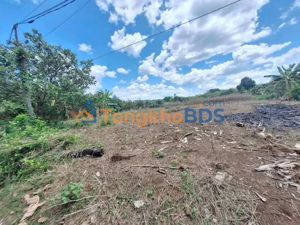 Đất Nền Lộc Ninh 2100m² - Sổ Hồng Thổ Cư, Giá Đầu Tư 480 Triệu