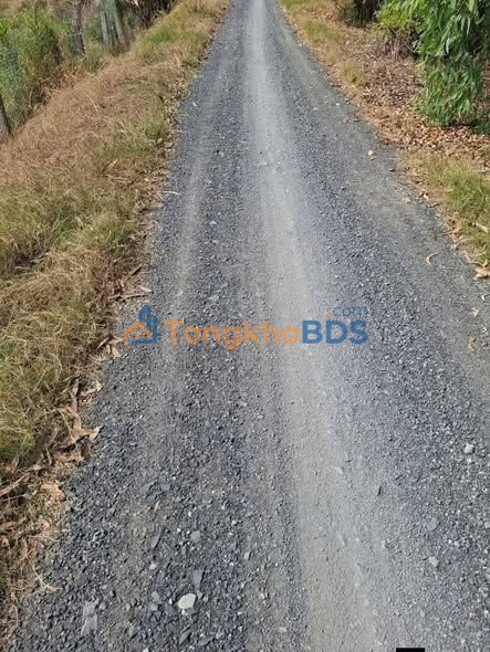 Bán Đất Vườn Đồng Tháp 15.629m² - Sẵn Sàng Khai Thác