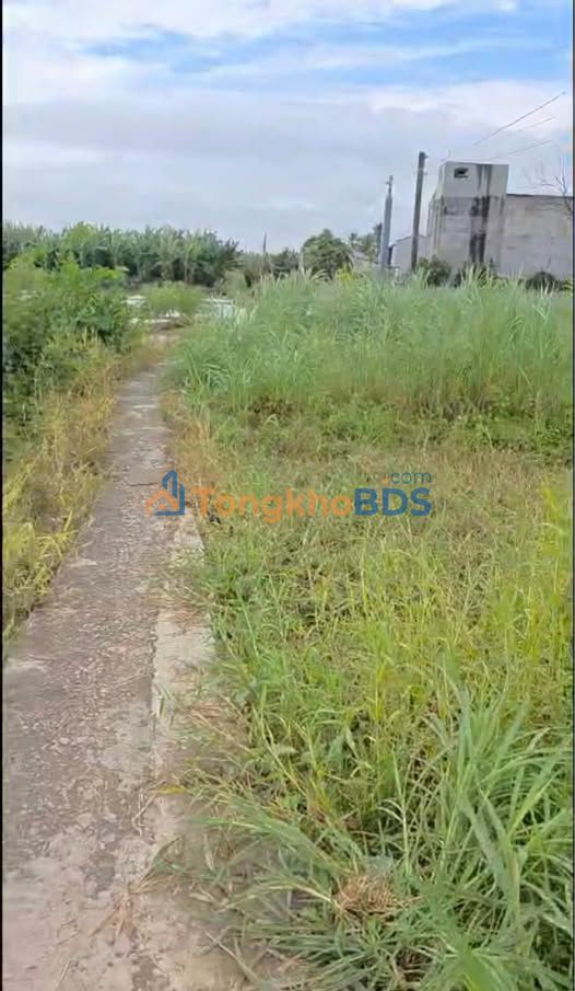 Đất nền Gò Công Đông 125m² sổ hồng - Giá đầu tư 135 triệu