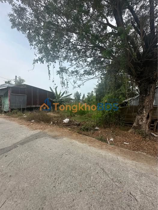 Bán Gấp 2 Nền Liền Kề Xã An Phước, Đồng Tháp - Giá Tốt