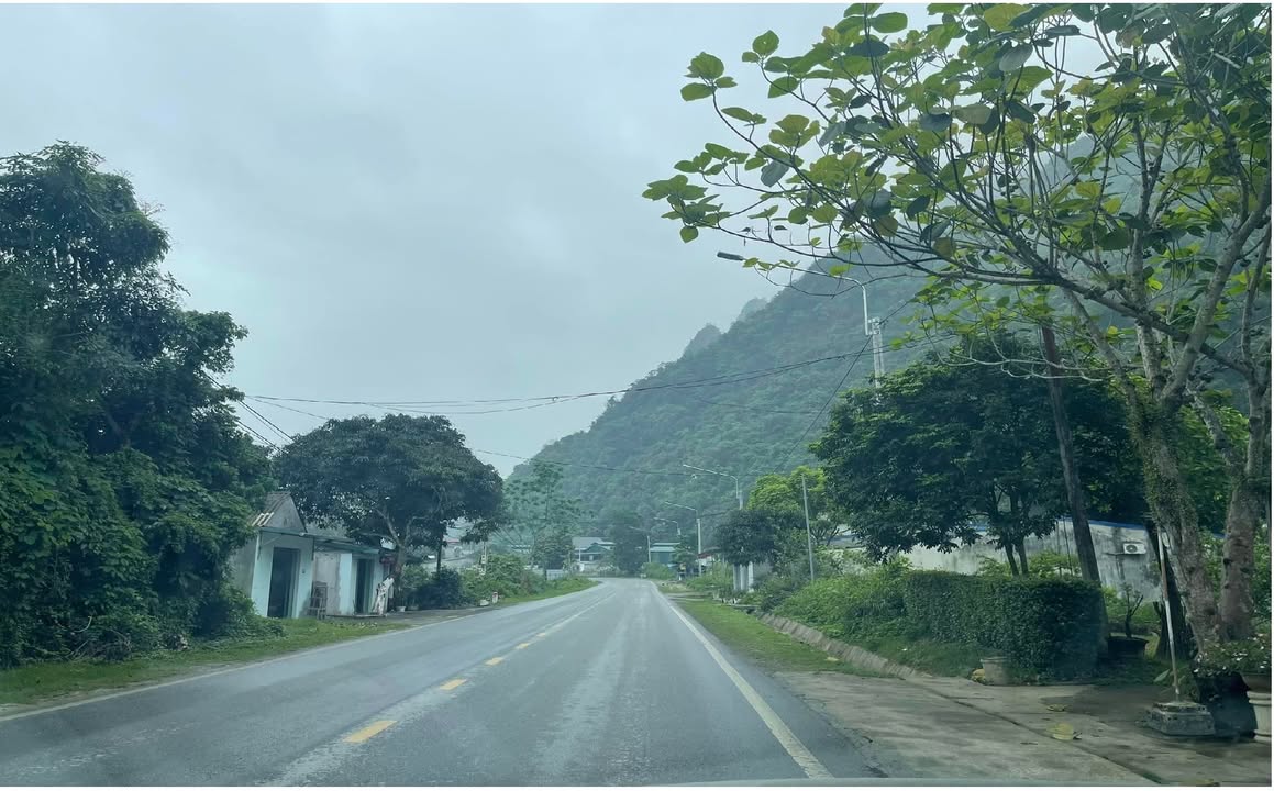 Đất nền 306.5m² mặt tiền QL4C Hà Giang - Đầu tư sinh lời hấp dẫn