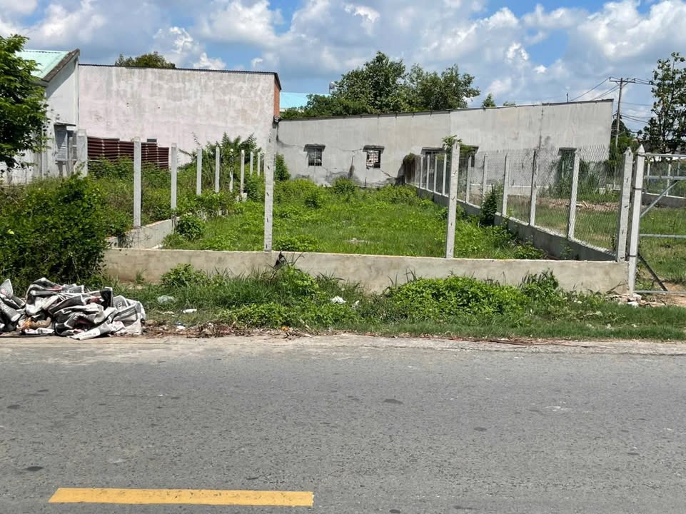 Đất Mặt Tiền Trần Tử Bình, Củ Chi - 192m² Full Thổ - 800 Triệu